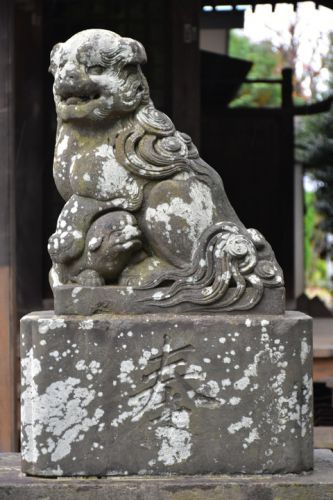 子足立八幡神社の狛犬達