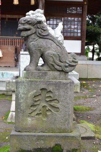 柏木神社の狛犬達