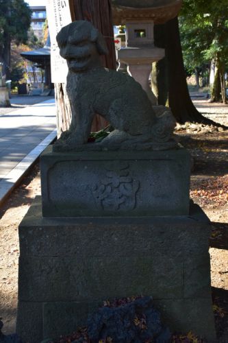 東村山八坂神社の狛犬達