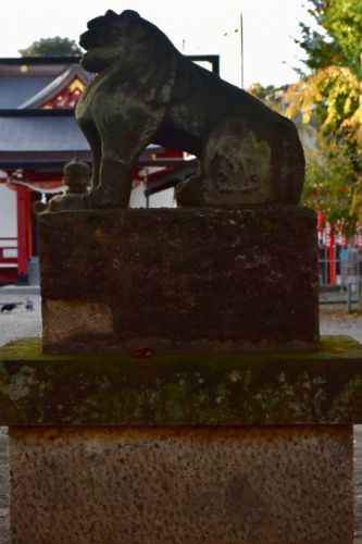 本町南町八幡神社の狛犬達