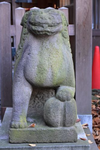 川越氷川神社の狛犬達
