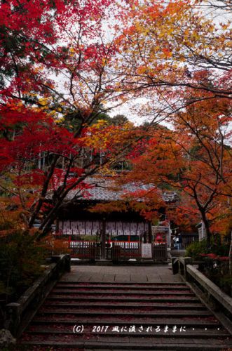 紅葉の情景　京都・亀岡　鍬山神社　紅葉　2017年11月12日撮影
