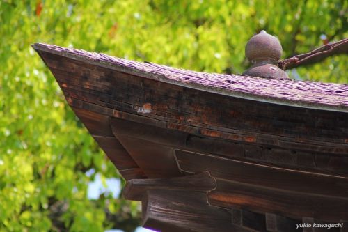 東海道三大社の一社　知立神社　No.50