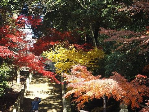 西国第二十六番「法華寺一乗寺」の御朱印（兵庫県加西市）