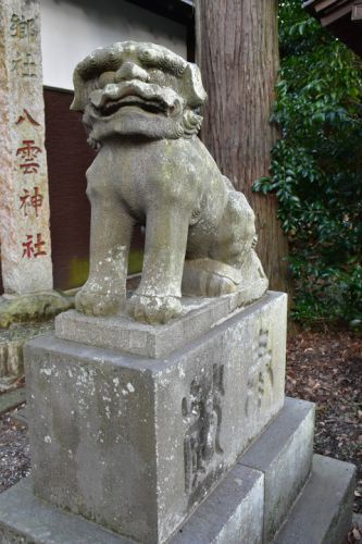 八雲神社の狛犬達