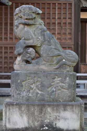 広済寺金刀比羅宮の狛犬達