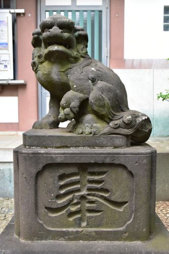 北沢八幡神社の狛犬達
