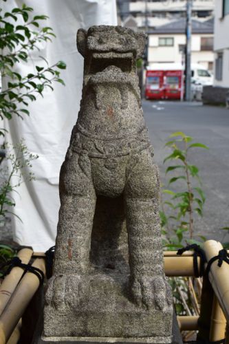 大京神社の狛犬達