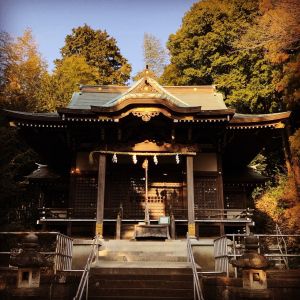 杉山神社〜武蔵国六之宮