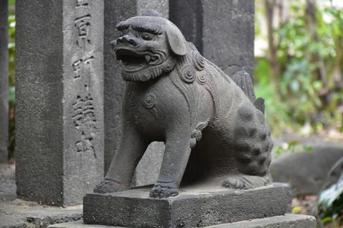 吾嬬神社の狛犬達
