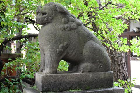 御田八幡神社の狛犬達