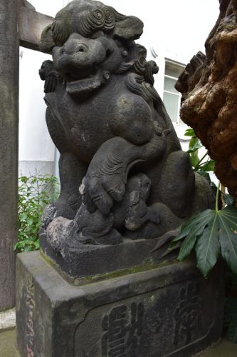 黒船神社の狛犬達