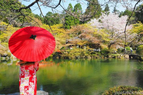 奈良京都お花見観光！帯解寺で安産祈願！花の醍醐寺で桜を愉しむ