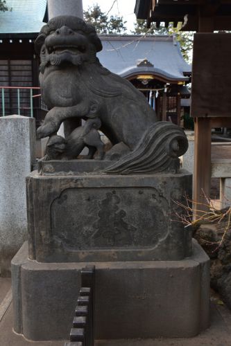 月見岡八幡神社の狛犬達