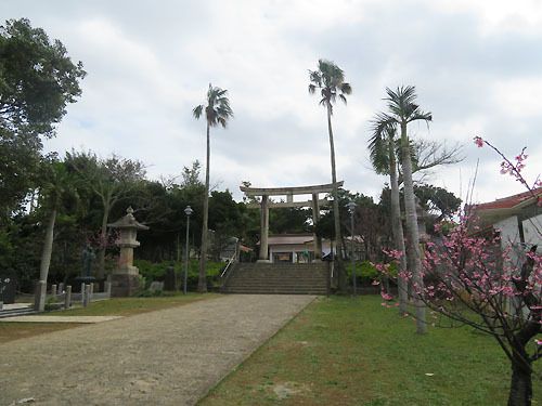 桜咲く　沖縄県護国神社