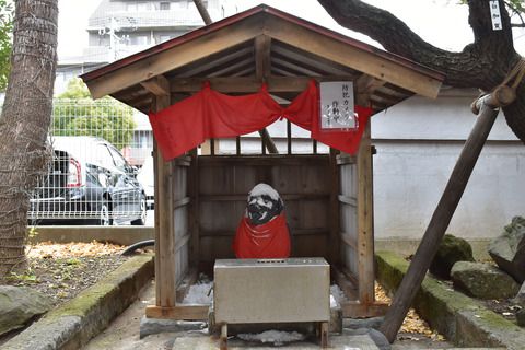 亀戸天神社の狛犬