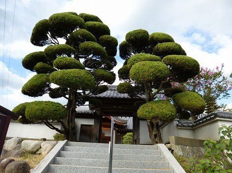 法嶺山「満願寺」の御朱印　　[兵庫県三木市]