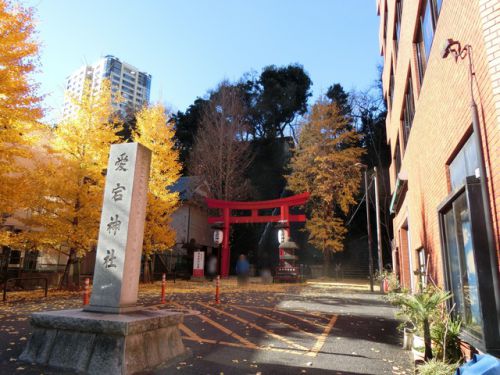 2017/12/17(日) 出世の石段 愛宕神社 東京都