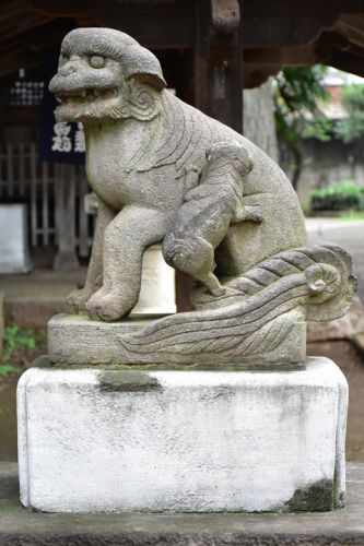 打越天神北野神社の狛犬達