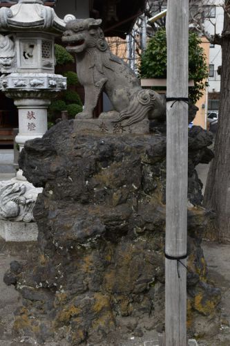 押上天祖神社の狛犬達