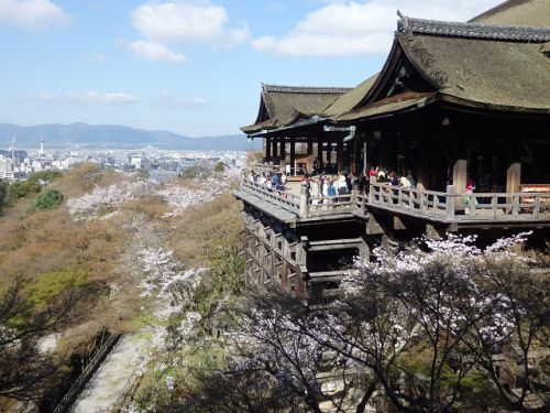 【京都・清水寺の桜】清水の舞台からの絶景