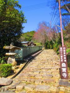 【滋賀】日本で最初に養蚕技術を広めた「桑実寺」の御朱印