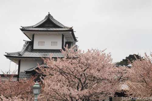 2017年 石川でお花見！金沢城、兼六園、尾崎神社の桜＆近江町市場でのど黒！