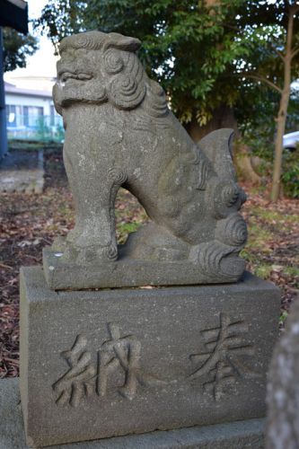 八雲神社（木更津市台）の狛犬達