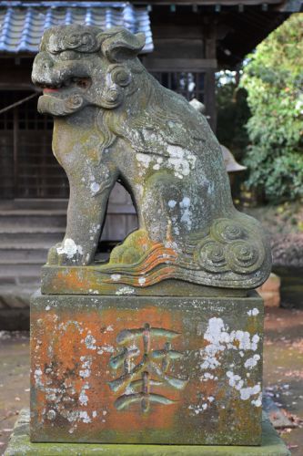 野田神社（袖ケ浦市）の狛犬達