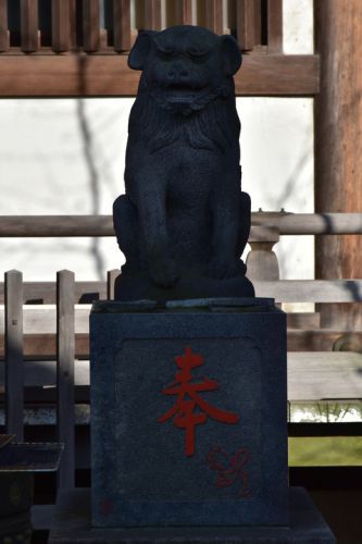 綾瀬稲荷神社の狛犬達
