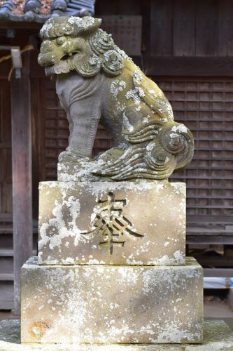 国勝神社の狛犬達
