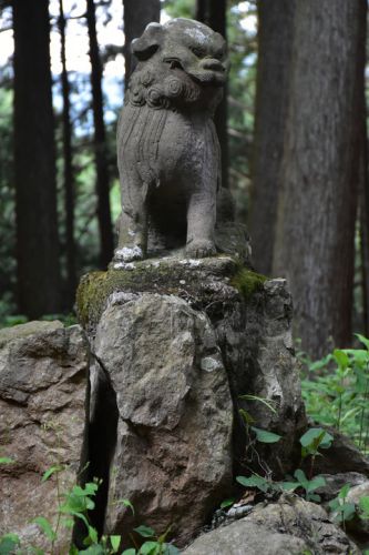 三嶋神社の狛犬達