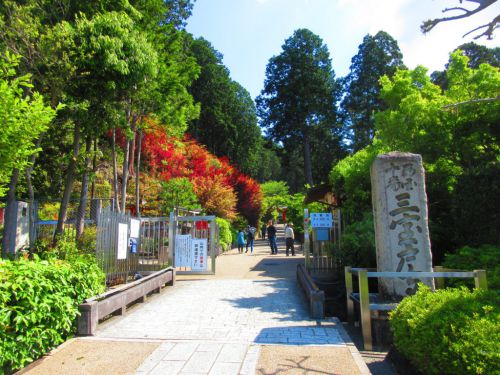 【京都】満開のツツジや紫陽花を愛でる♪宇治に佇む花の寺「三室戸寺」の御朱印