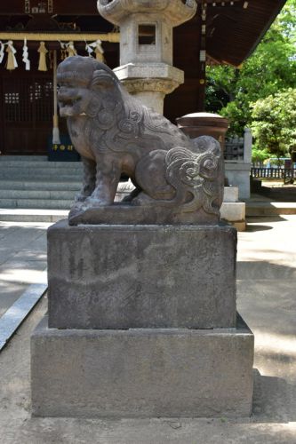 笹目神社の狛犬達