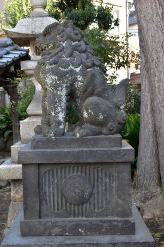 満足稲荷神社の狛犬達