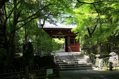 神峯山寺、ここ高槻にも役行者の名が残っています。