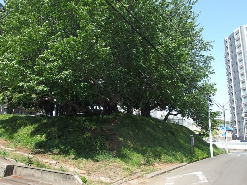 公所浅間神社跡地（富士塚） - 神社移転後も残された富士塚の跡
