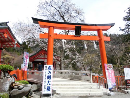 2018/4/7(土）金櫻神社 山梨県