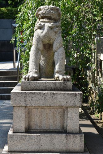 乃木神社の狛犬達