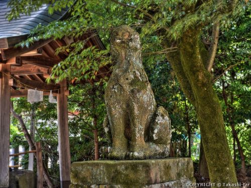 八重垣神社の狛犬 （島根）