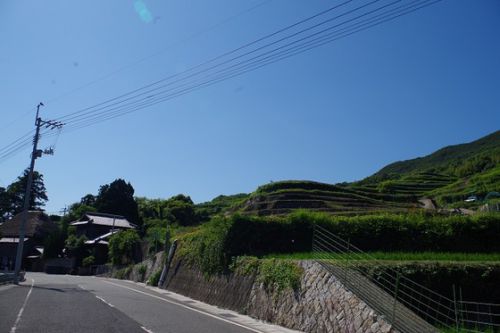 小豆島の狛犬　中山春日神社　農村の舞台