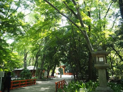 「下賀茂神社」の御朱印も二葉葵の緑印が素敵