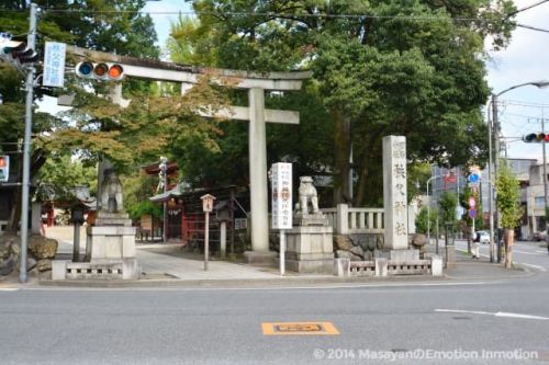 秩父神社は徳川家康の命により建てられた彫刻が見どころの美しき社