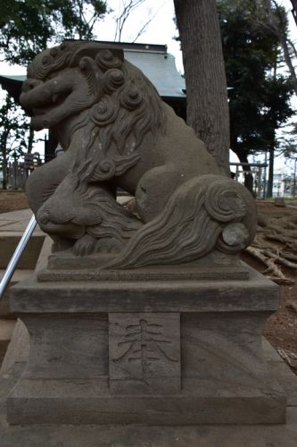 田柄愛宕神社の狛犬達