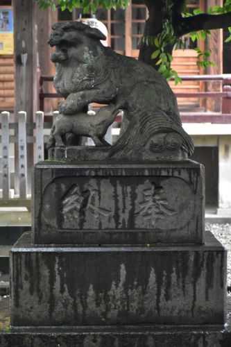 本郷氷川神社の狛犬達