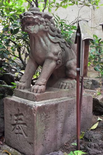 水稲荷神社の狛犬達
