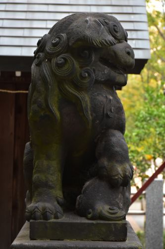 【再訪狛犬ギャラリー】御穂鹿嶋神社の狛犬達