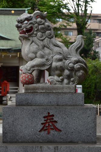 荻窪白山神社の狛犬達