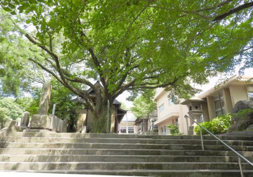 西郷隆盛史跡探訪⑨南洲神社（鹿児島市）