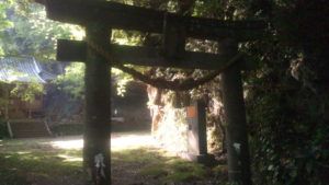 八女津媛神社（福岡県八女市矢部村北矢部4015）の盃状穴